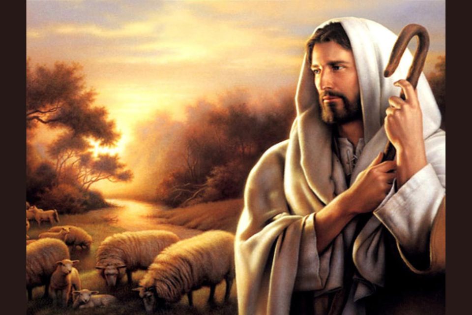 En este momento estás viendo TOMA Y LEE. Tiempo de Pascua. IV Domingo. 11 de Mayo de 2025.