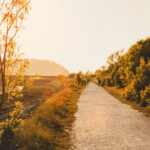 Lee más sobre el artículo  Tiempo Adviento II. Domingo 7 de Diciembre de 2025. 