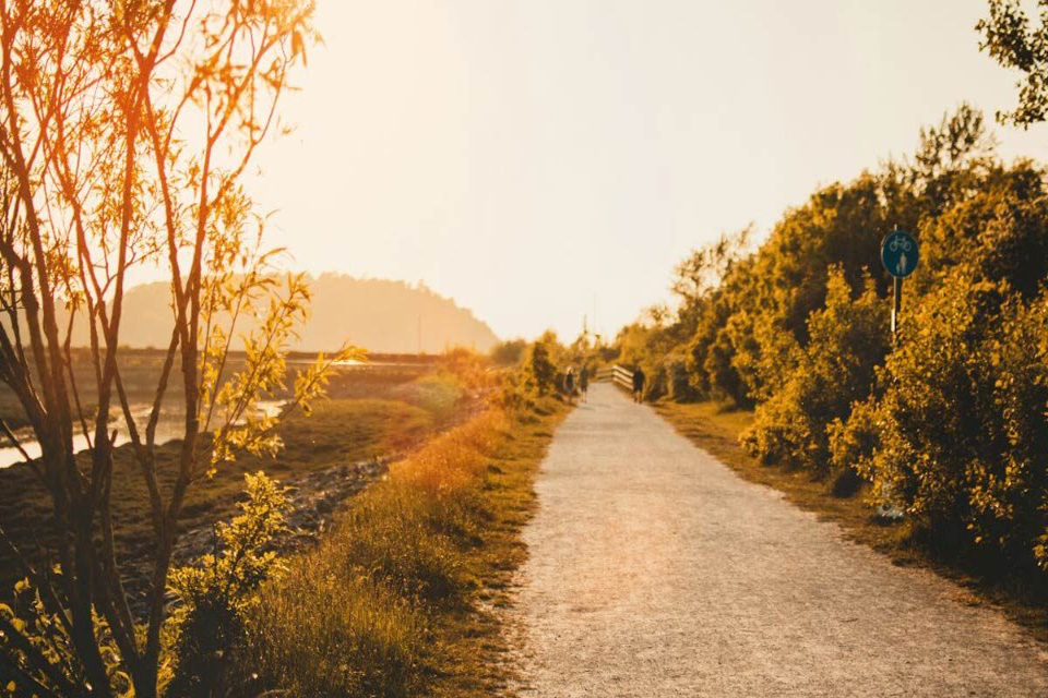 En este momento estás viendo  Tiempo Adviento II. Domingo 7 de Diciembre de 2025. 